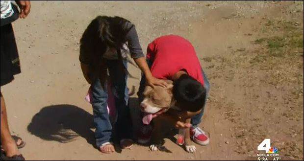 Children relieved their friendly dog wasn't killed.