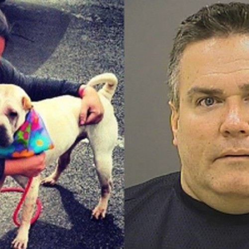Video: Cop Restrains Friendly Dog and Slashes Its Throat, “I’m Going to Gut This F*****g Thing”