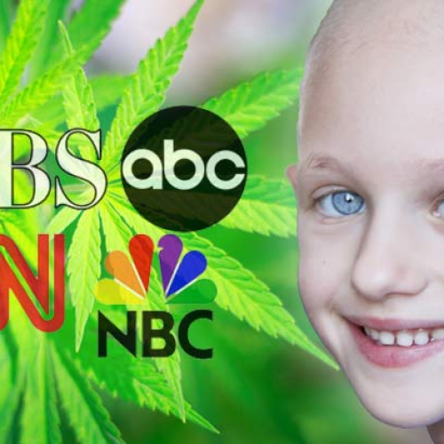 Media Finally Admits It: Cannabis Can Cure Cancer, It’s High Time We Stop Arresting People for It