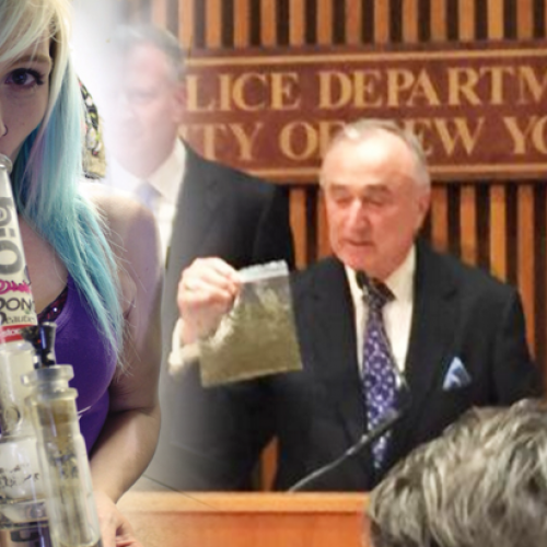 NYPD Cops Dramatically Reduces Arrest Rate for Pot, and the City Didn’t Fall into Chaos