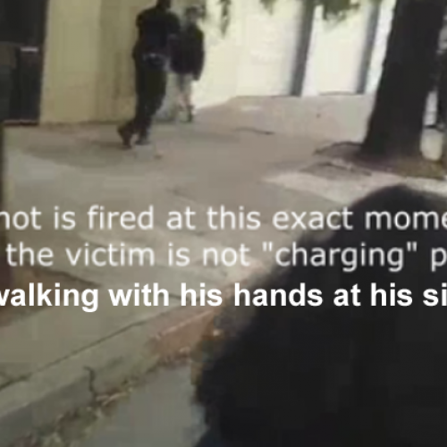 Cops Just Got Caught on Video Murdering a Citizen in the Street