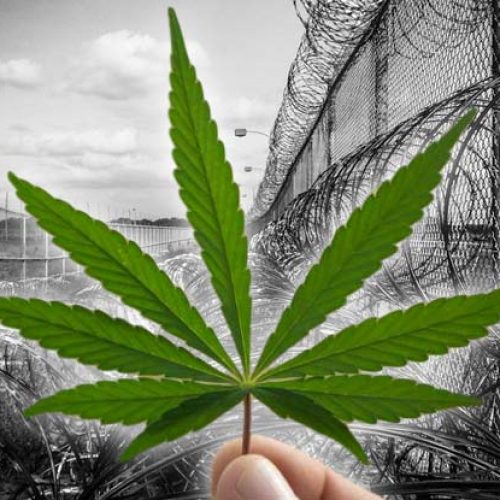A Lone Politician Just Voted Down Legal Cannabis — Turns Out He Profits From Mass Incarceration