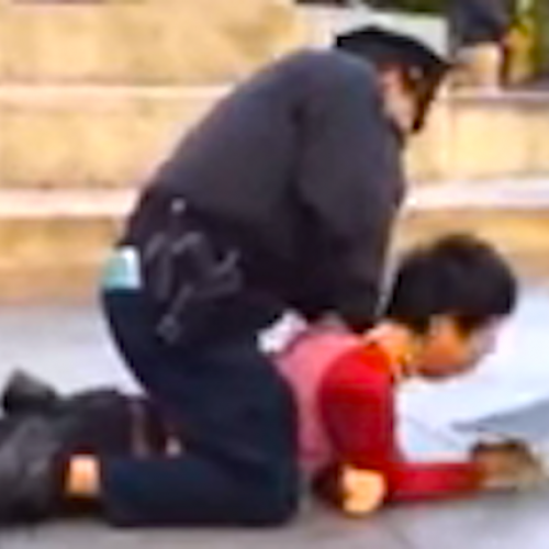 WATCH: NYC Cop Puts Skateboarder in Banned Chokehold and Blasts Him With Pepper Spray