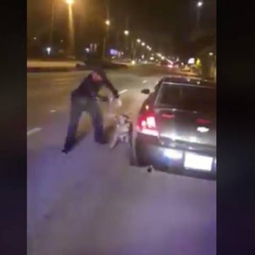WATCH: K-9 Cop Reassigned After He’s Caught on Camera Abusing Dog For Not Finding Drugs