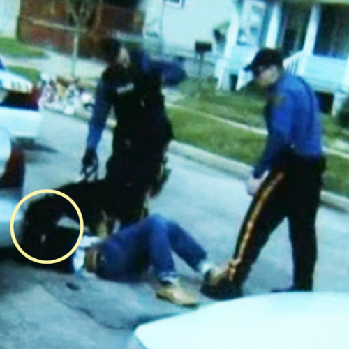 WATCH: VIDEO SHOWS VINELAND MAN WHO DIED IN CUSTODY BEING BITTEN BY POLICE DOG
