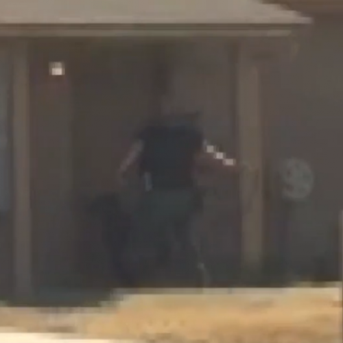 Cop Kicks Dog, Whips Its Body Repeatedly With Leash — Other Cops Stand Around and Watch