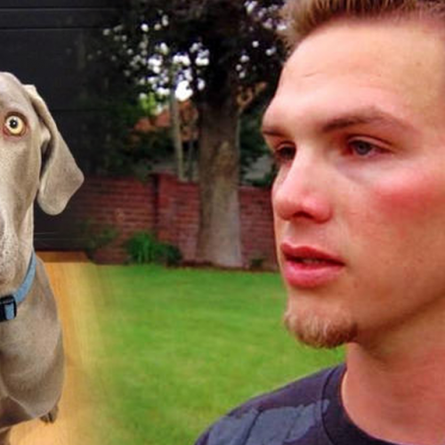 This Man is Suing for $2 Million After Police Gunned Down His Dog for No Reason