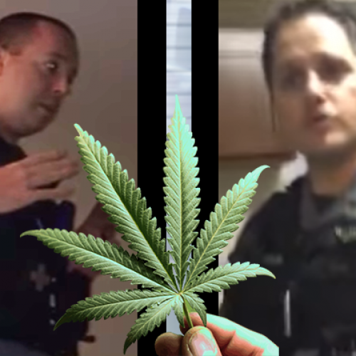 Police Enter Private Family Home and Hold Them Hostage Over “Marijuana Smell”