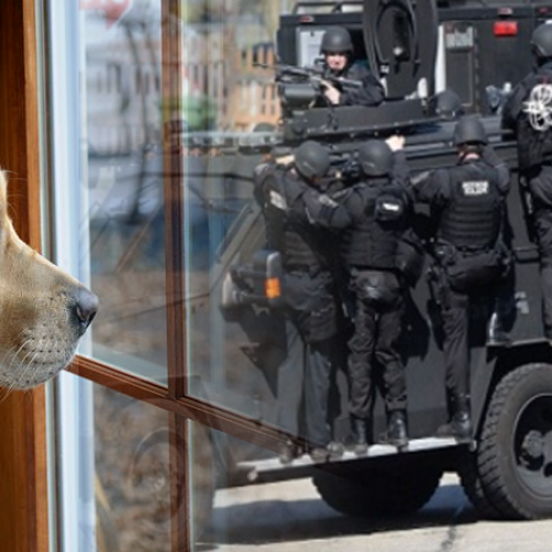 SWAT Uses Tear Gas and Armored Tank in 10 Hour Stand-off With — a Dog