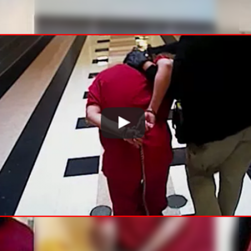 “Twist Her Wrist Until She Shuts Up!” — Horrifying Video Shows Cops Torturing Small Woman in Jail