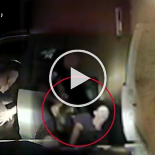 Video Shows Officer Unleash K-9 on Man During Routine Traffic Stop