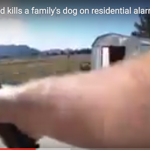Lying Cop Shoots and Kills a Family’s Dog and Laughs