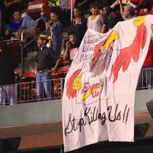 [WATCH] ‘Stop Killing Us’ Banner at Cardinals Game Followed by Pepper Spray and Arrests Outside