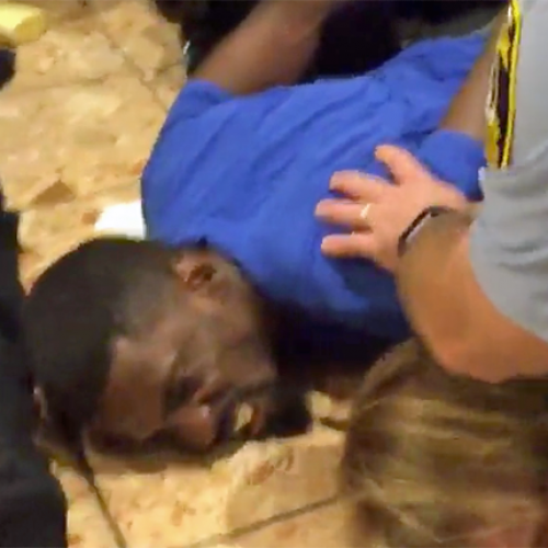 WATCH: St. Louis Police Shut Down Entire Mall to Violently Arrest Black Lawmaker For Protesting Racial Injustice