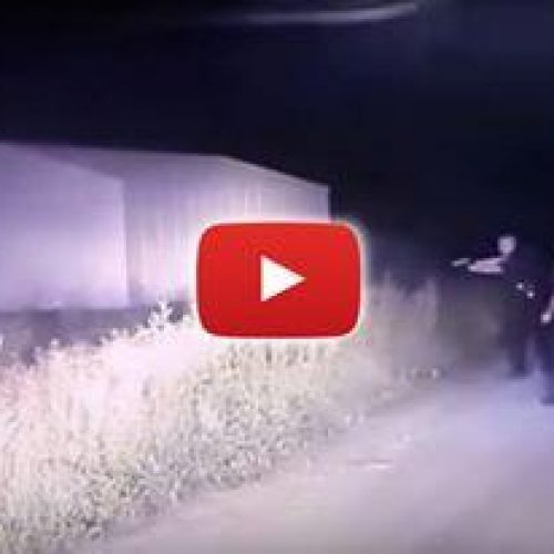WATCH: Cops Fire on Car Full of Teens After Misreading License Plate