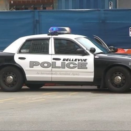 Bellevue Police Officer Arrested After Allegation of Domestic Violence Assault