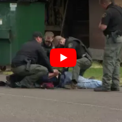 WATCH: Detroit Deputy Punches Man Repeatedly During Marion County Arrest