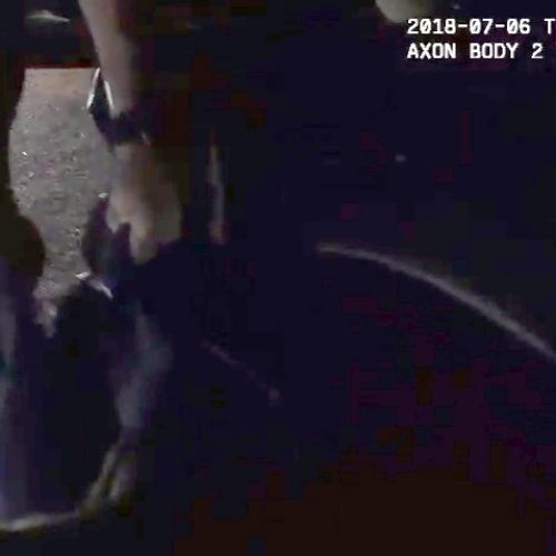 WATCH: After St. Paul Police Dog Bites Bystander, Department Says ‘Significant Changes’ Coming to K-9 Unit